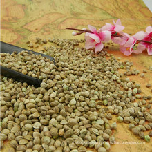 HEMP SEEDS with high quality,supply all kinds of seeds